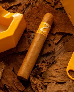 Zino Nicaragua Gordo Puro - 25'li